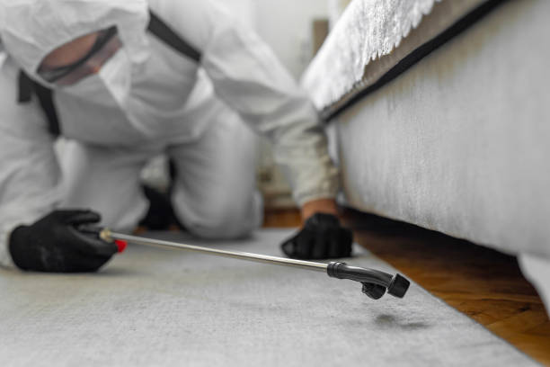 Professional Cockroach Control technician working in Coldwater, MS